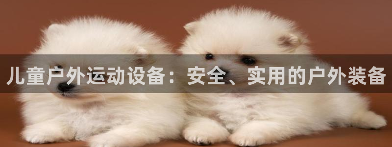 征途国际集团logo:儿童户外运动设备:安全、实用的户外装备