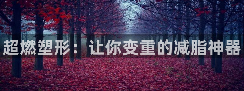 征途国际集团官网首页:超燃塑形:让你变重的减脂神器