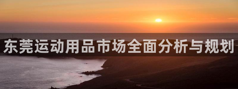 征途国际官网:东莞运动用品市场全面分析与规划